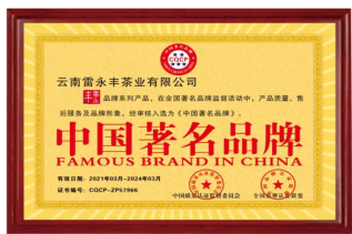 榮獲中國著名品牌